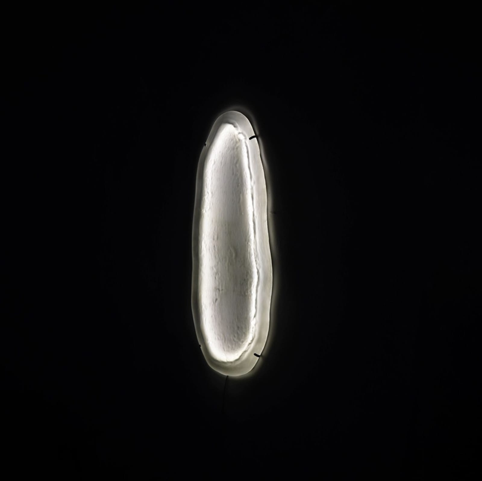 Fresh.Glass, Jellyfish Sister, 2025