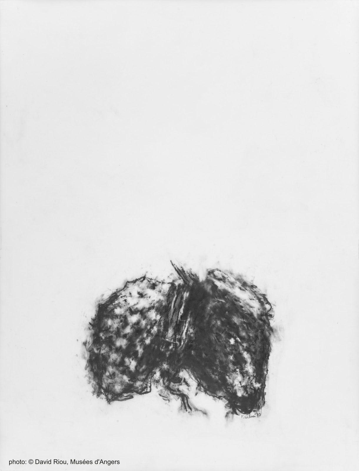 Francis Wilson, Dessin Sur Calque L 02