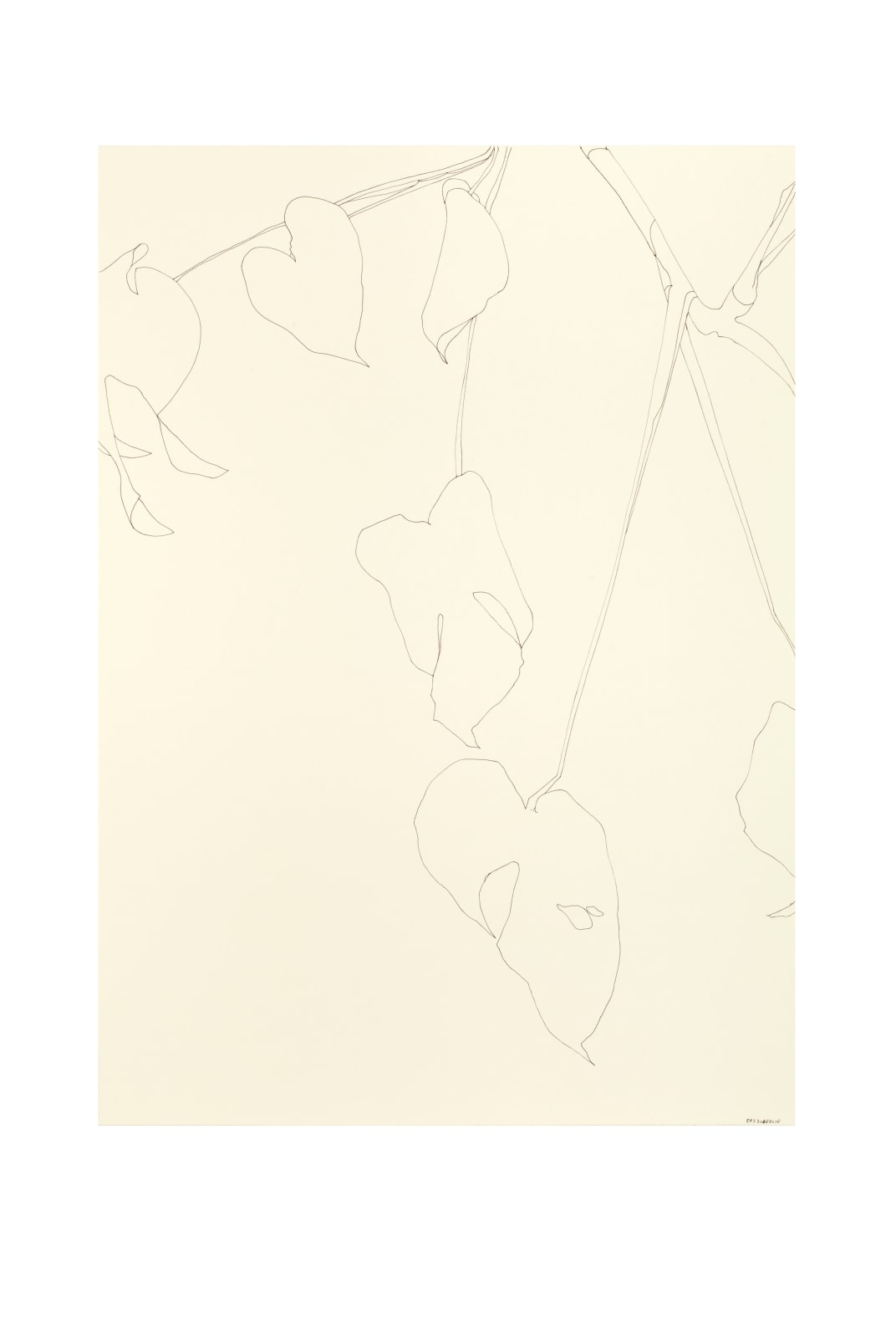Ronald Zuurmond, 30082018, 2018