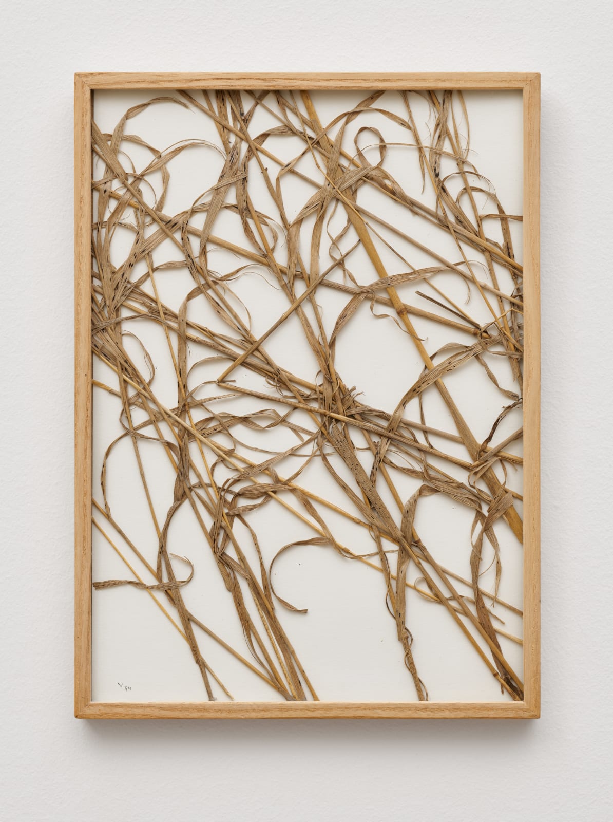 herman de vries, part, 1994