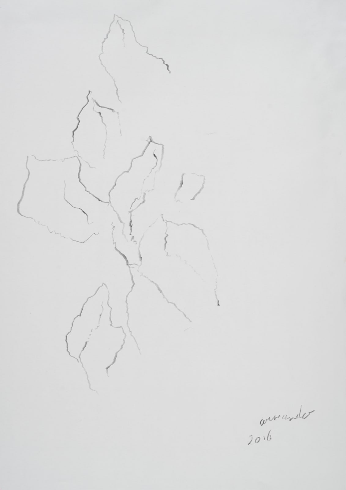 Armando, Untitled, 2016