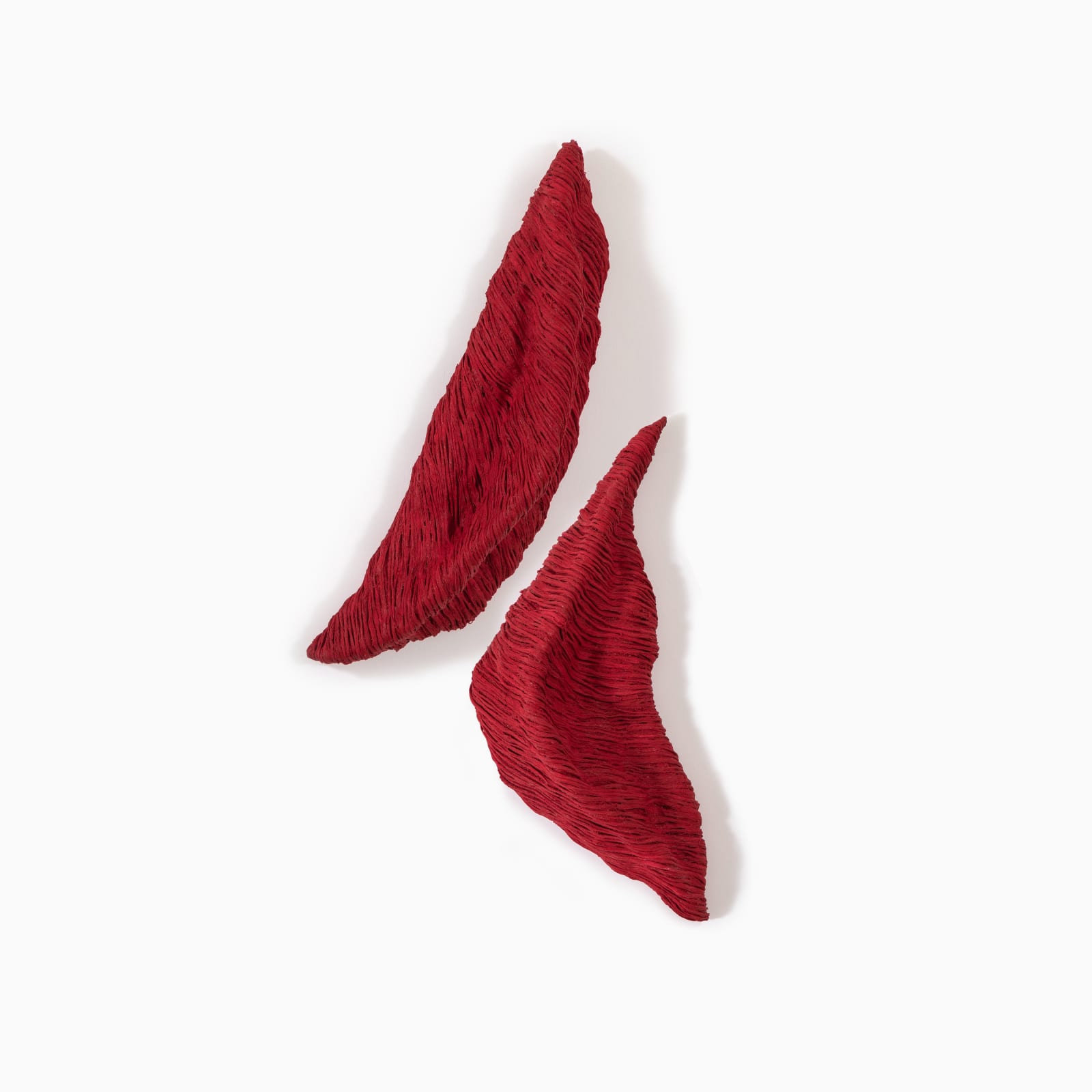 Betül Kotil, Untitled, 2025