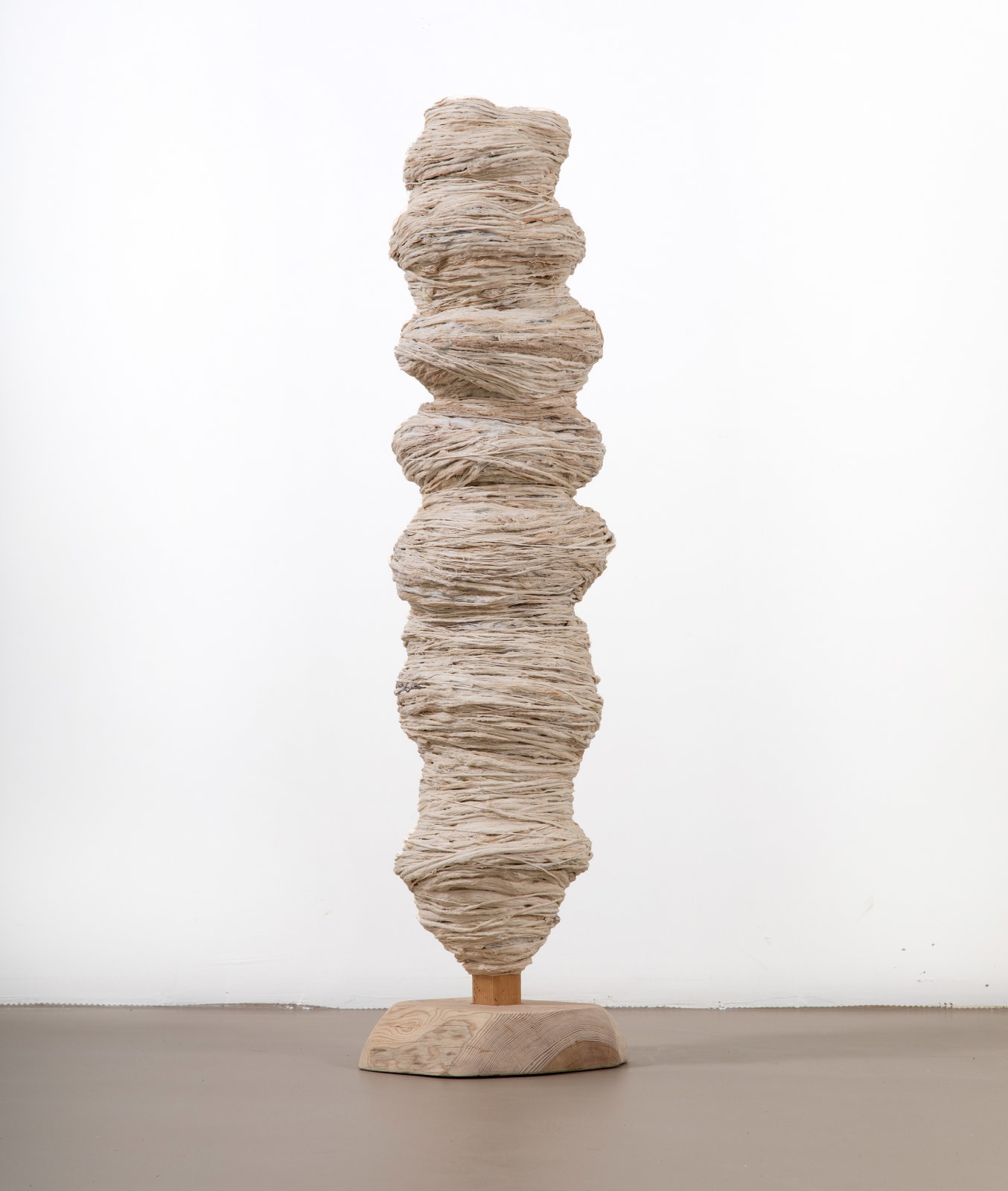 Betül Kotil, Nature, 2024