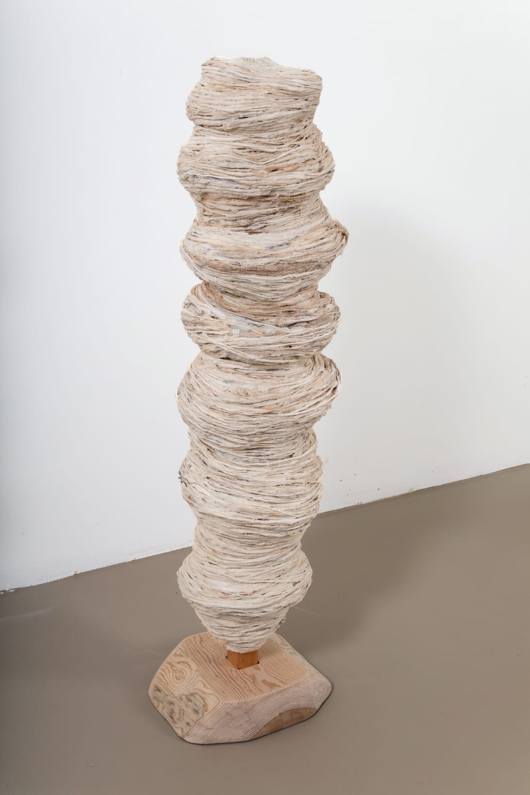 Betül Kotil, Nature, 2024