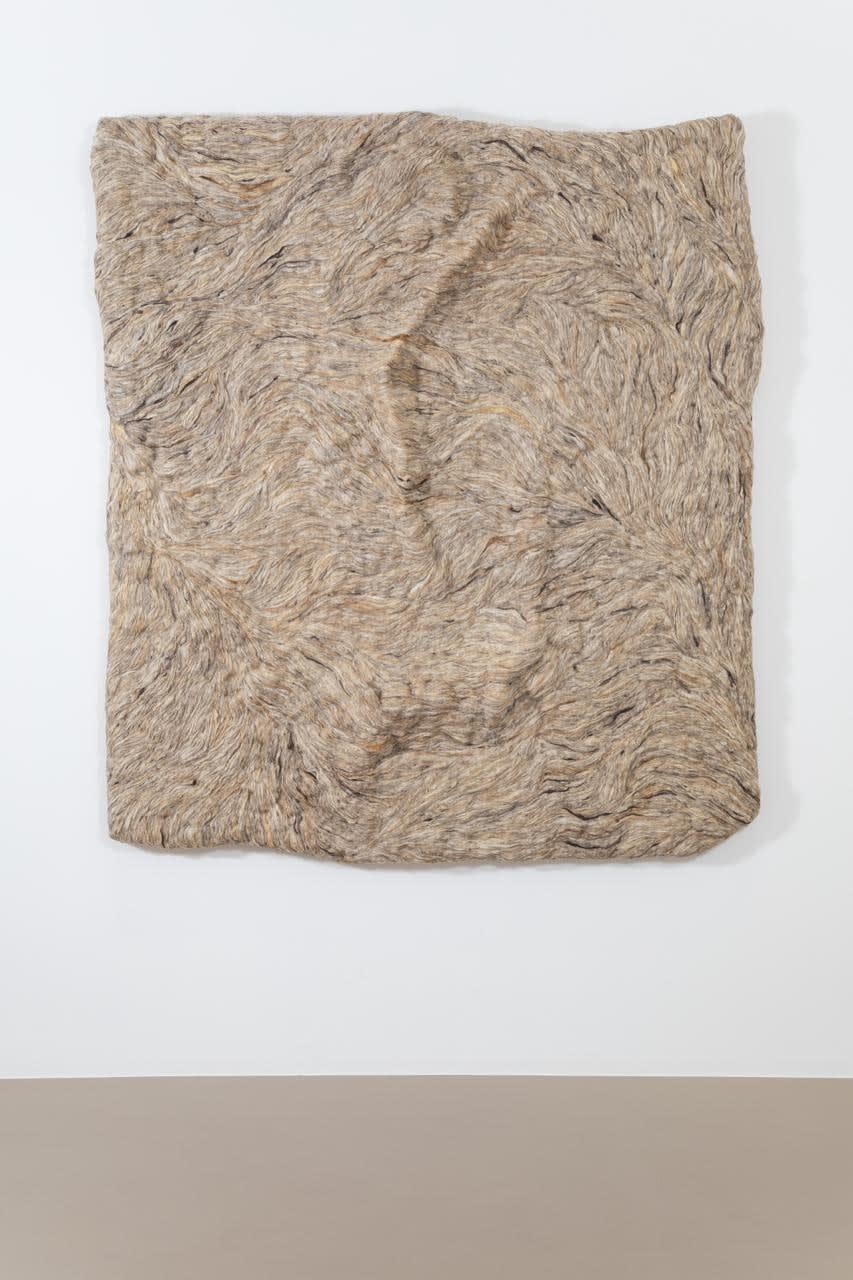 Betül Özkan, Sheel, 2025