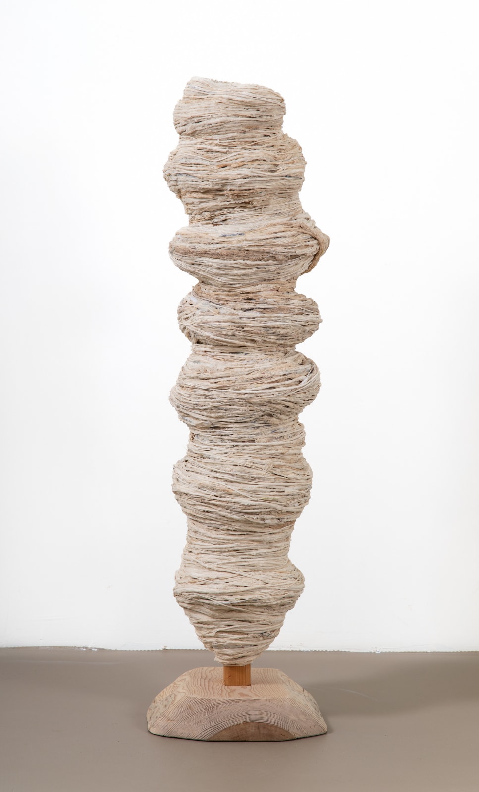 Betül Kotil, Nature, 2024