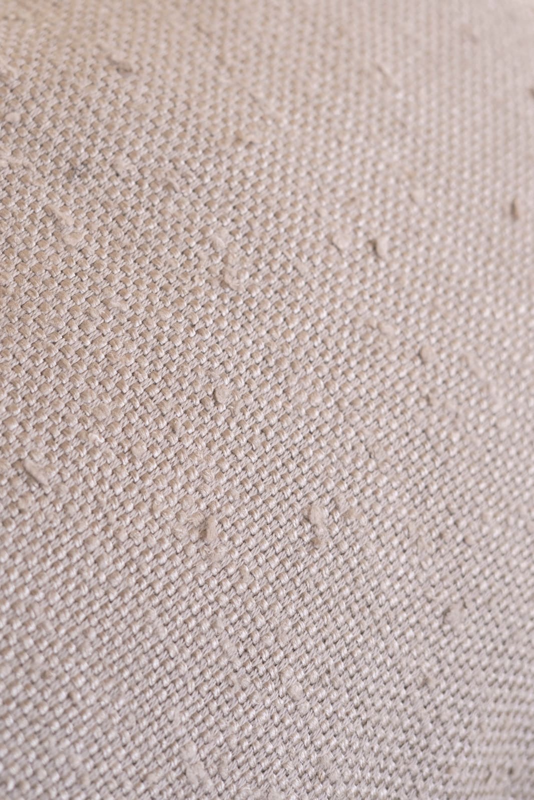 Bossa Home Collection, Eucalypto, 2025