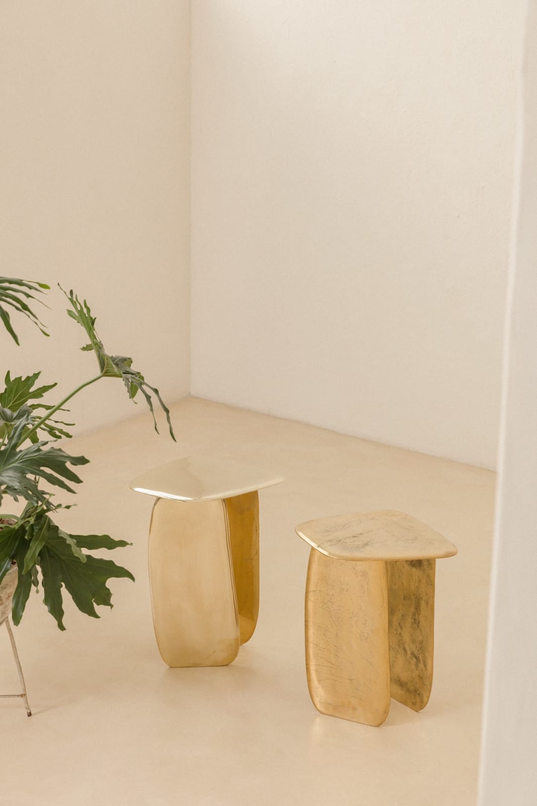 Lucas Recchia, Morfa nº 01 (Polished Bronze), 2019