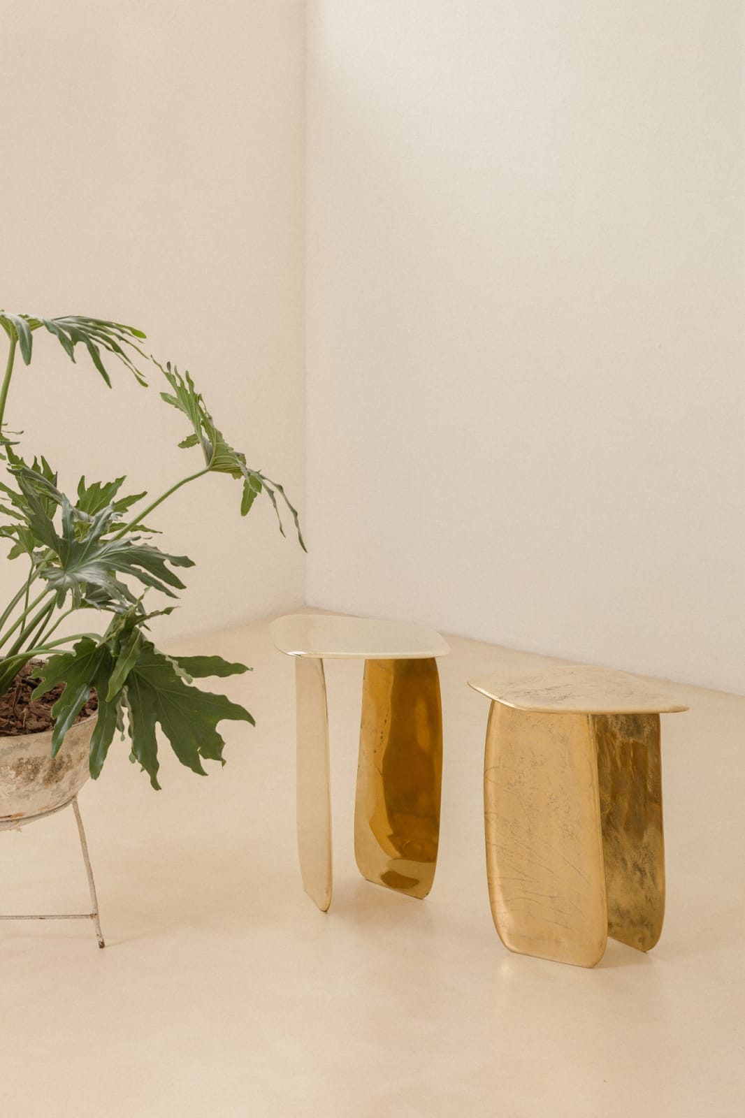 Lucas Recchia, Morfa nº 01 (Polished Bronze), 2019