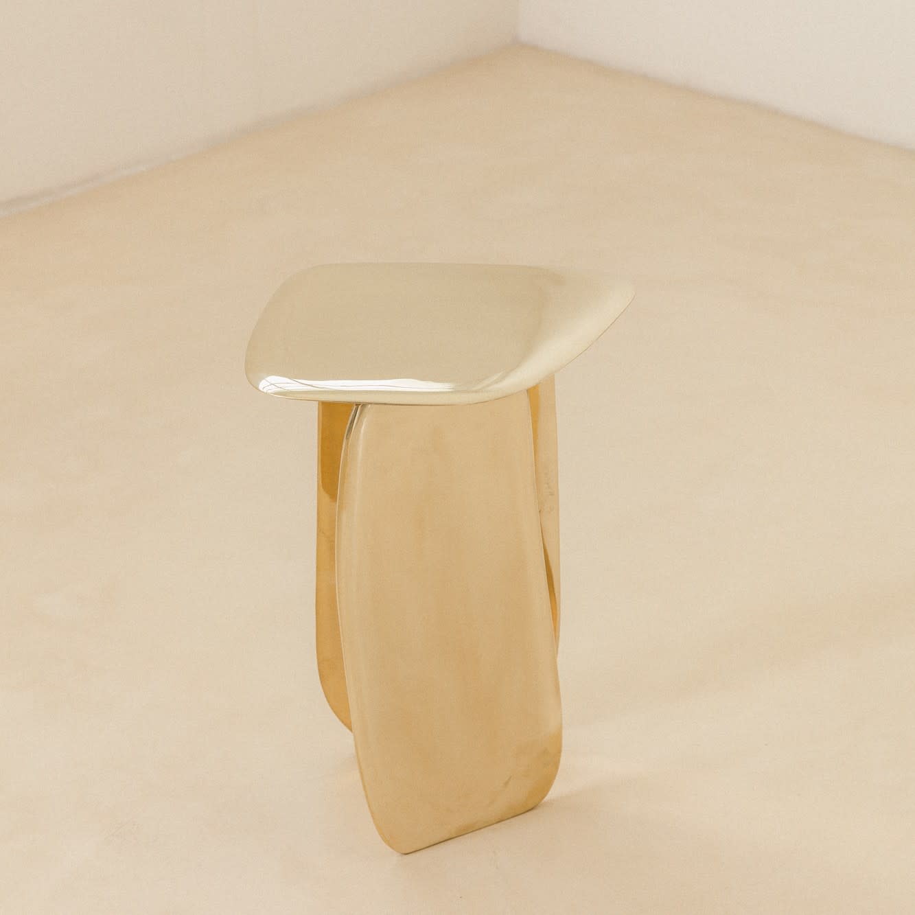 Lucas Recchia, Morfa nº 01 (Polished Bronze), 2019