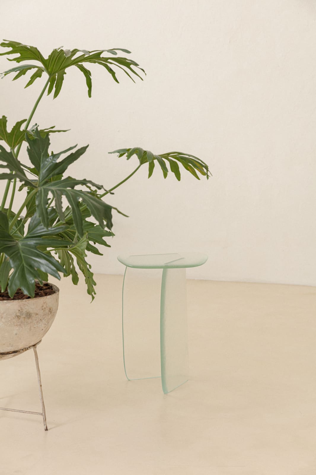 Lucas Recchia, Morfa nº 01 (Transparent Glass), 2019