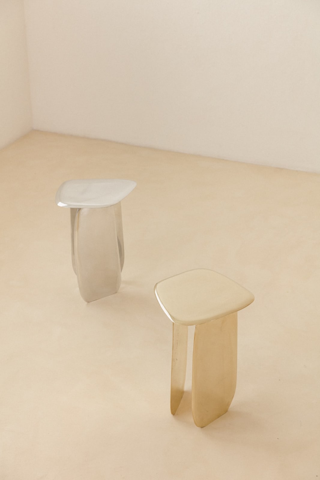 Lucas Recchia, Morfa nº 01 (Polished Bronze), 2019