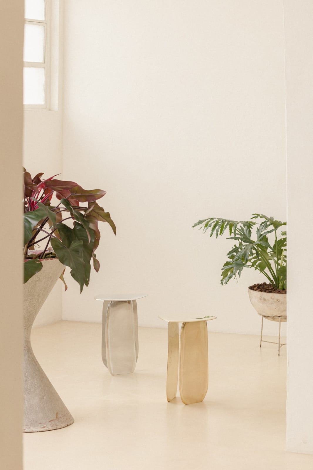 Lucas Recchia, Morfa nº 01 (Polished Bronze), 2019