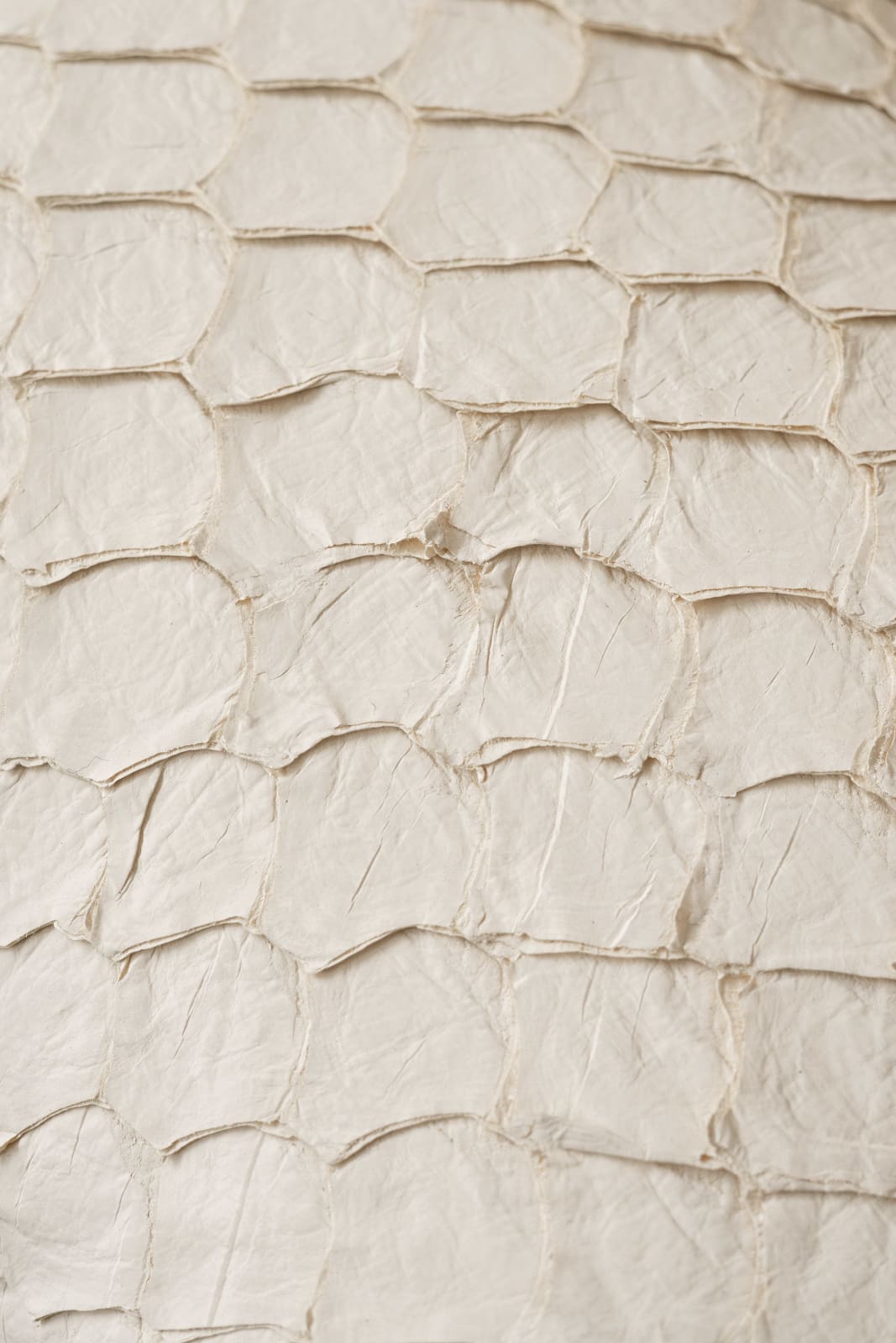Bossa Home Collection, Pirarucu Leather Cushion , 2025