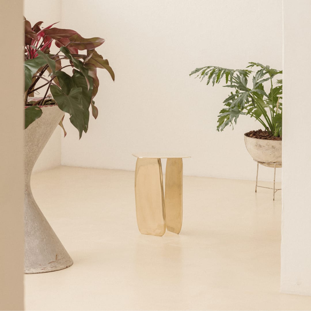 Lucas Recchia, Morfa nº 01 (Polished Bronze), 2019