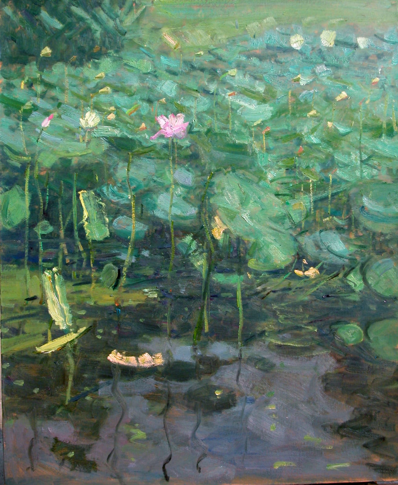 Liang Liqiang 梁力強, Lotus in Summer No.1, 2009
