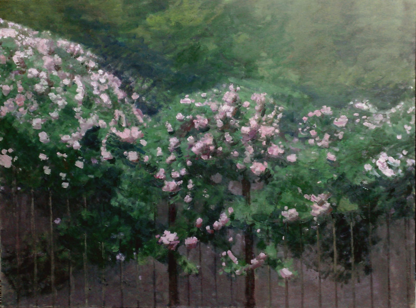 Liang Liqiang 梁力強, Wild Roses, 2009