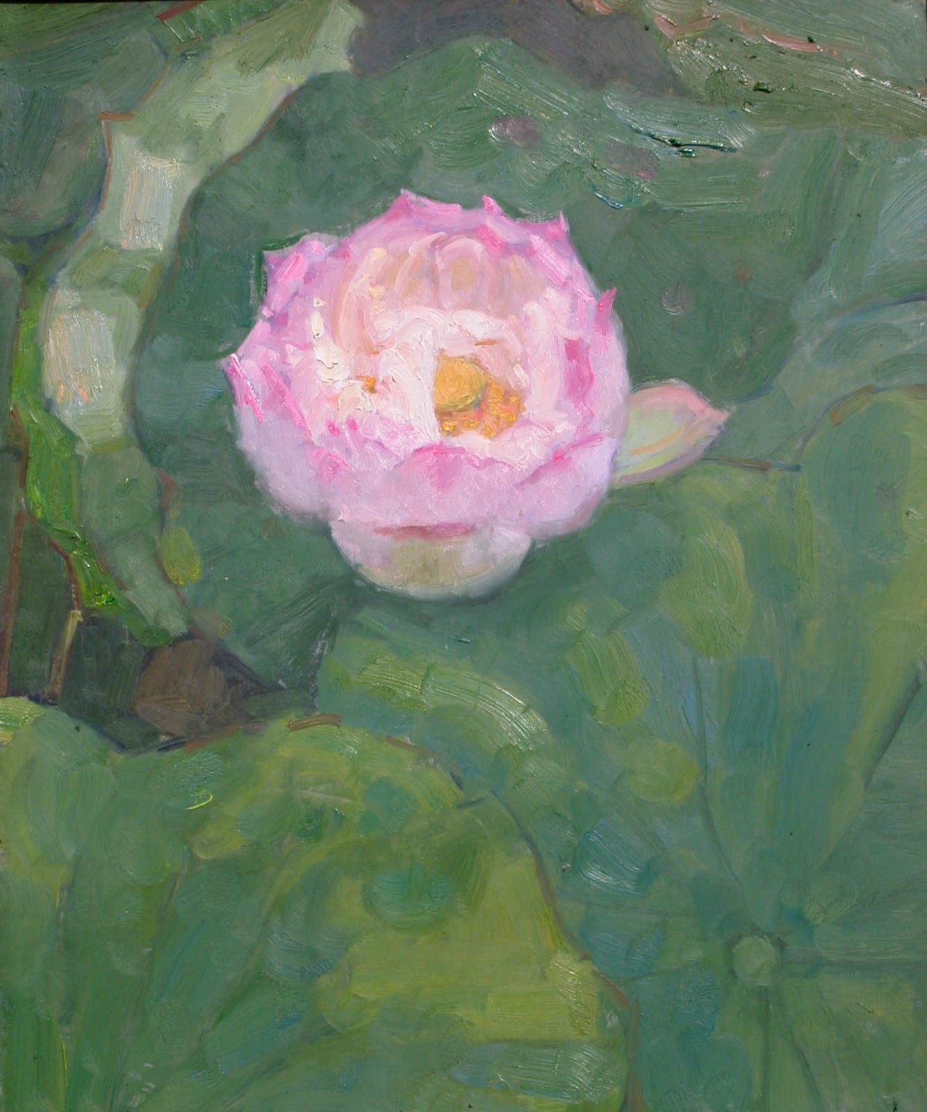 Liang Liqiang 梁力強, Lotus in Summer No.10, 2009