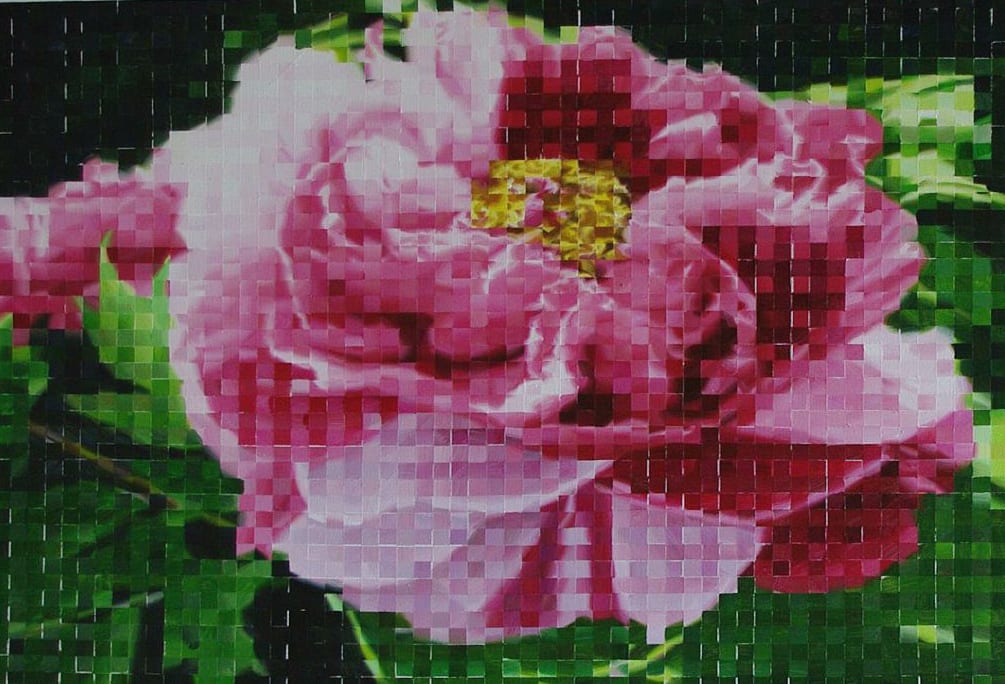 Luo Taisheng 駱太生, Flower in Bloom 一千萬像素三倍光學變焦 No.3, 2009