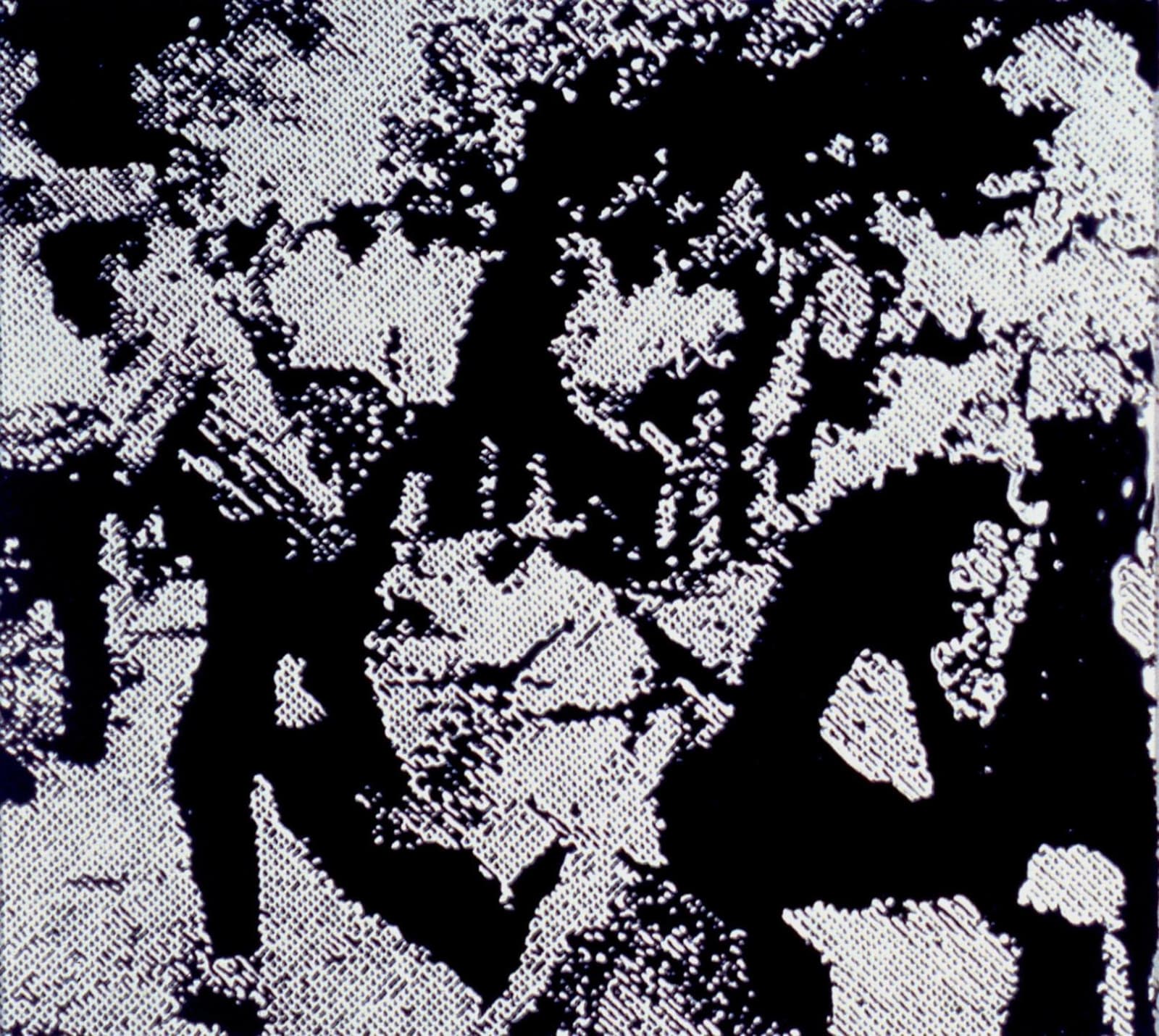 Vik Muniz, Race Riot / After Warhol , 2001