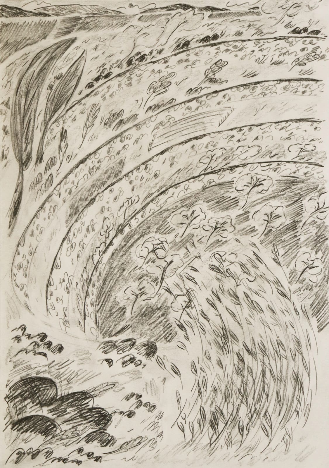 Coline Marotta, Les Restanques (View From Below), 2025