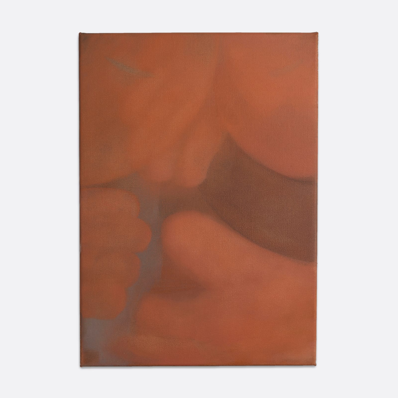 Claudio Coltorti, Brigade Gallery