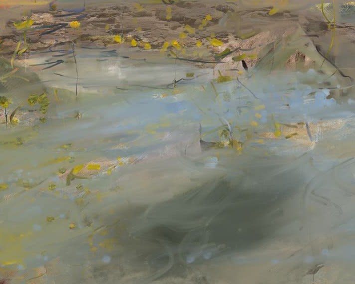 Petra Cortright, Adobe_Photoshop_Mastery