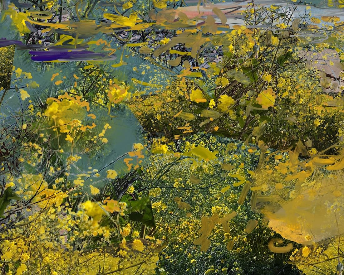 Petra Cortright, bootrose_log candy_trace "dataprism" lilacstatic, 2025