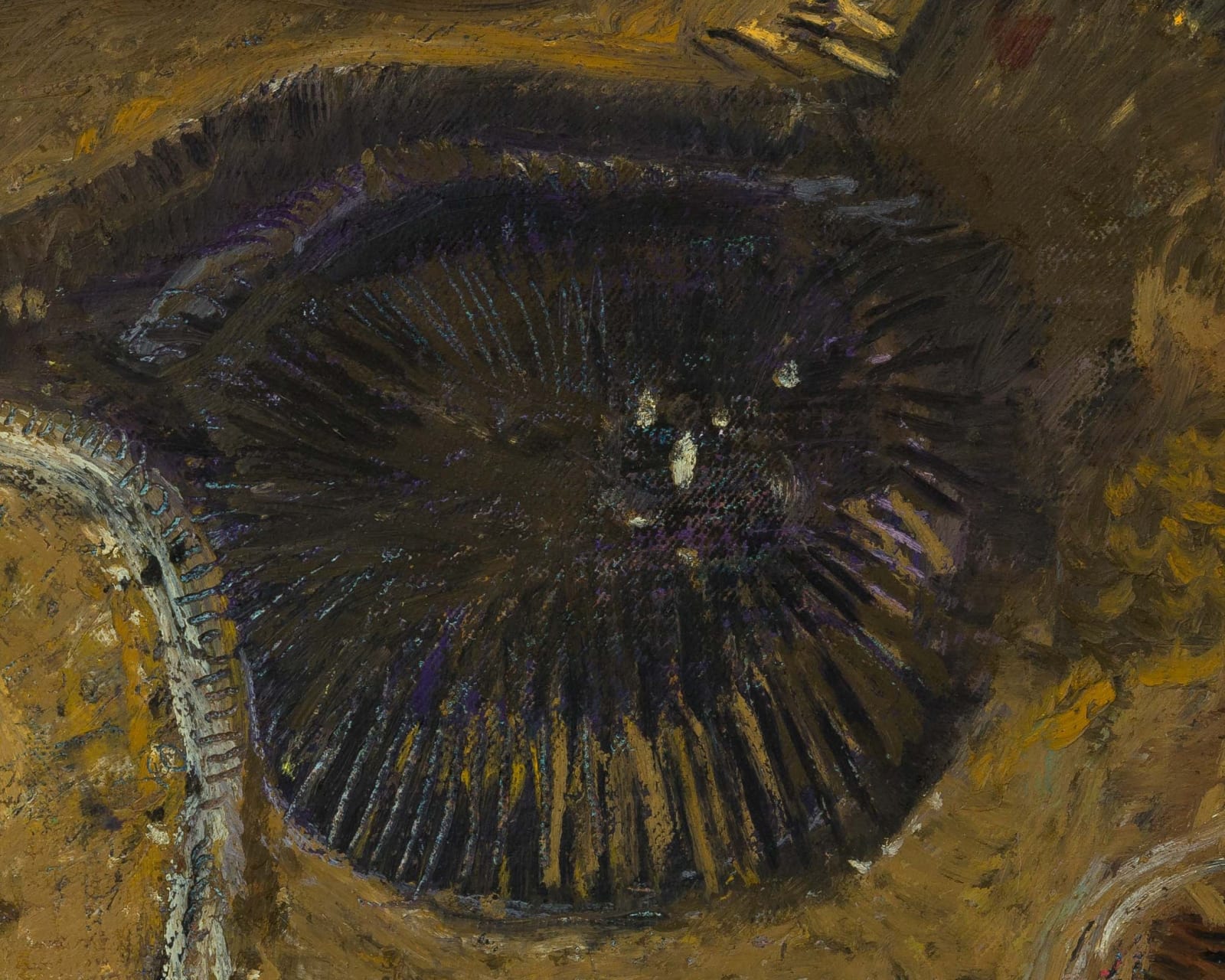 Igor Moritz Słonecznik, 2025, Brigade Gallery