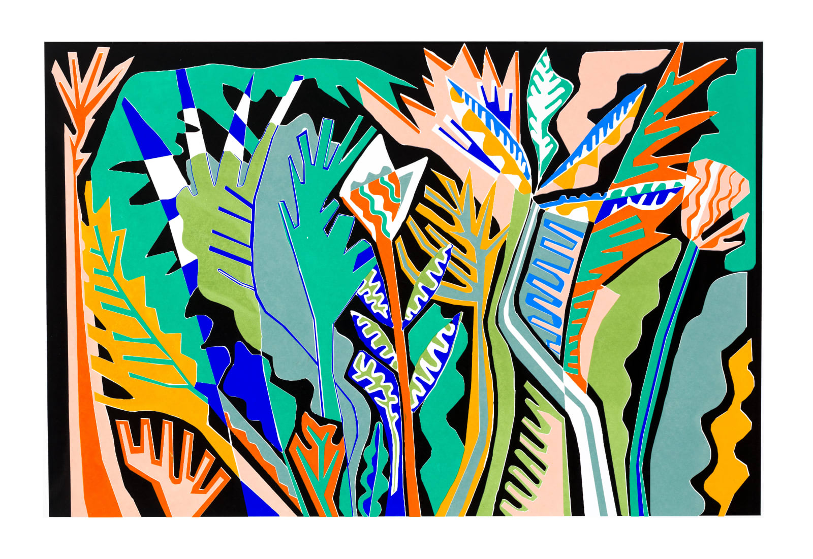 Flora Forshall, The Tropics unframed