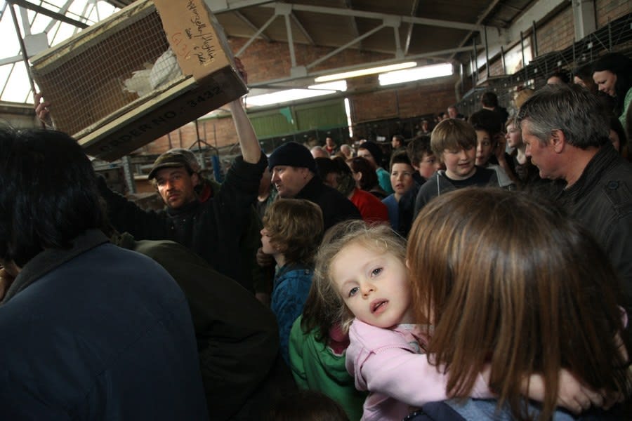 Ken Grant, The Birdhouse, 2012