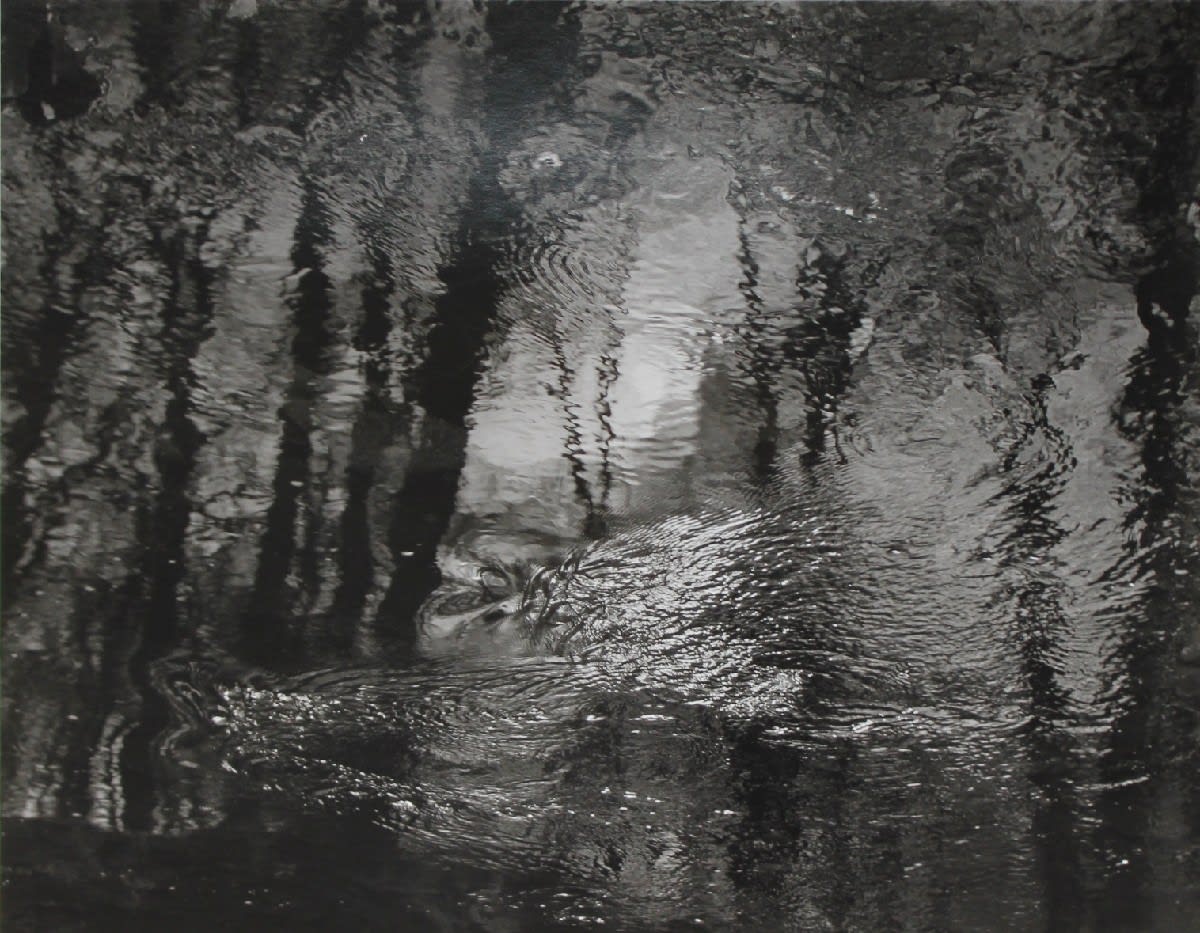 John Blakemore, From "Lila" Sequence 1 (Afon Gamlon, Wales), 1977