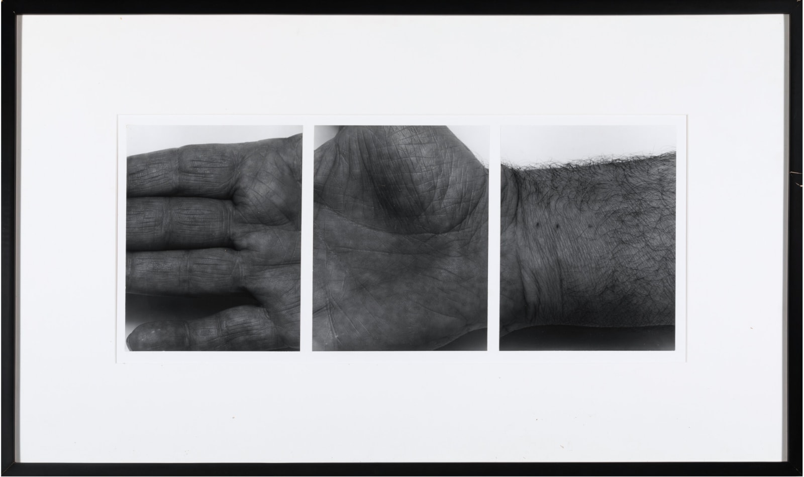 John Coplans, Self Portrait, Hands, Three Panels, Horizontal, No. 1 (triptych), 1988