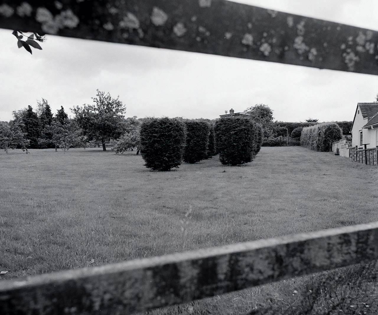 Anna Fox, The Village (05), 1991