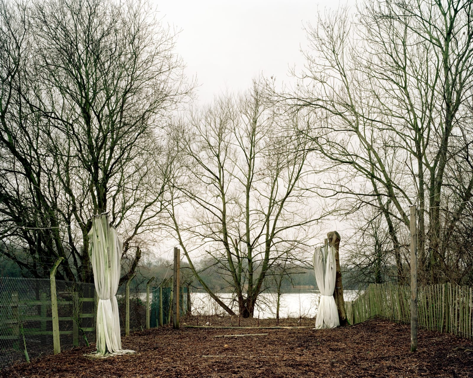 Mark Power, A System of Edges (26 Different Endings) 05 (P22 > W), 2005