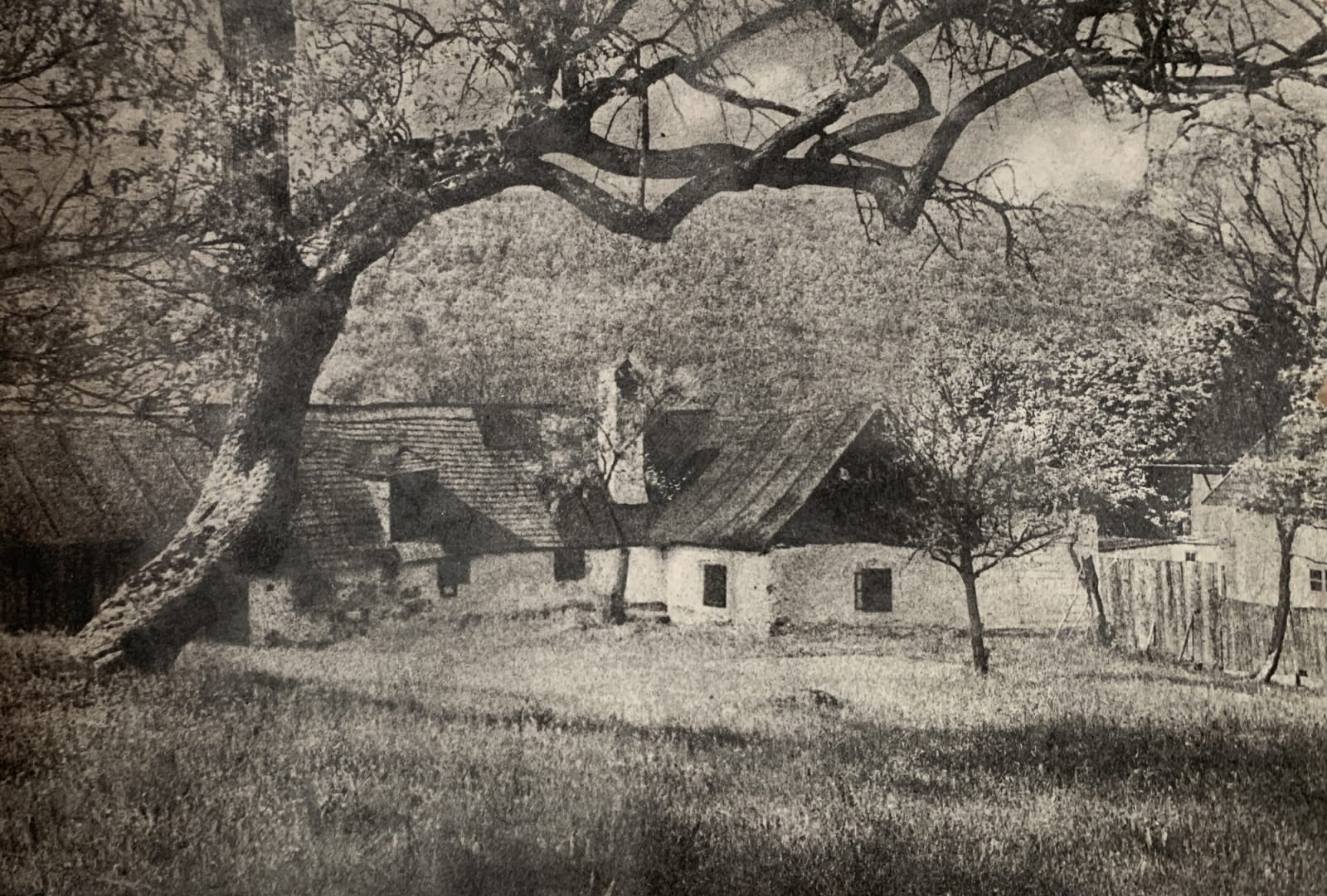 Betti Mautner, Untitled (Farm), 1920