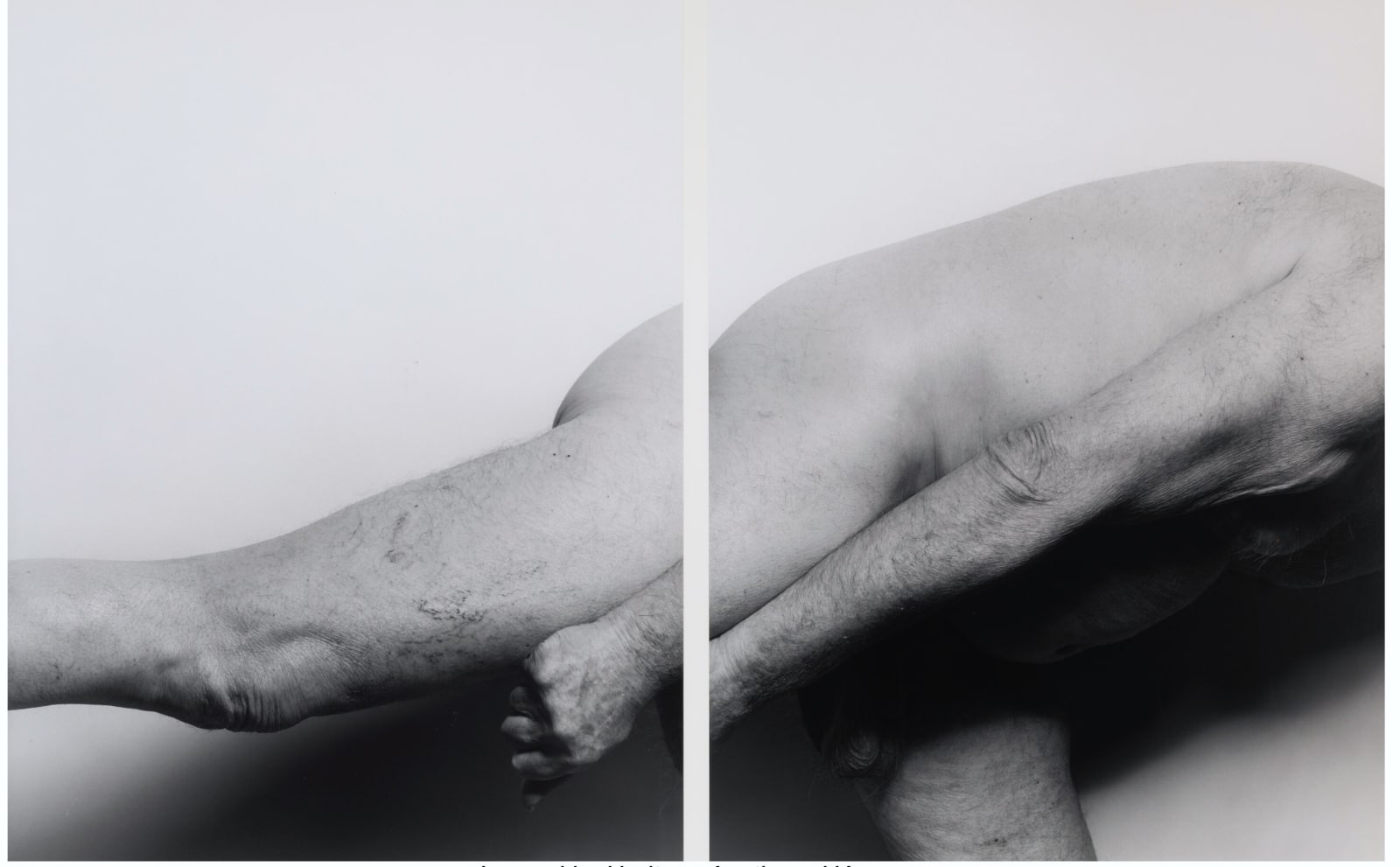 John Coplans, Self Portrait, Sideways, No. 6 (diptych), 2001