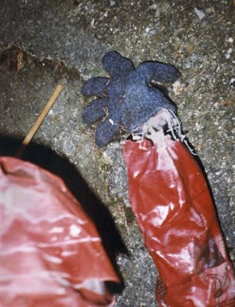 Anna Fox, Notes from Home (The Rise and Fall of Father Christmas), 2000-03