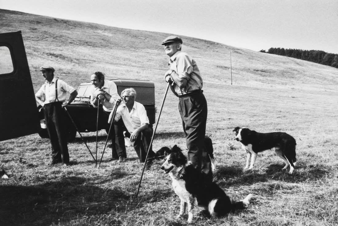 Ian Berry, Northumberland. Hethpool. Sheepdog trials, from "The English", 1975