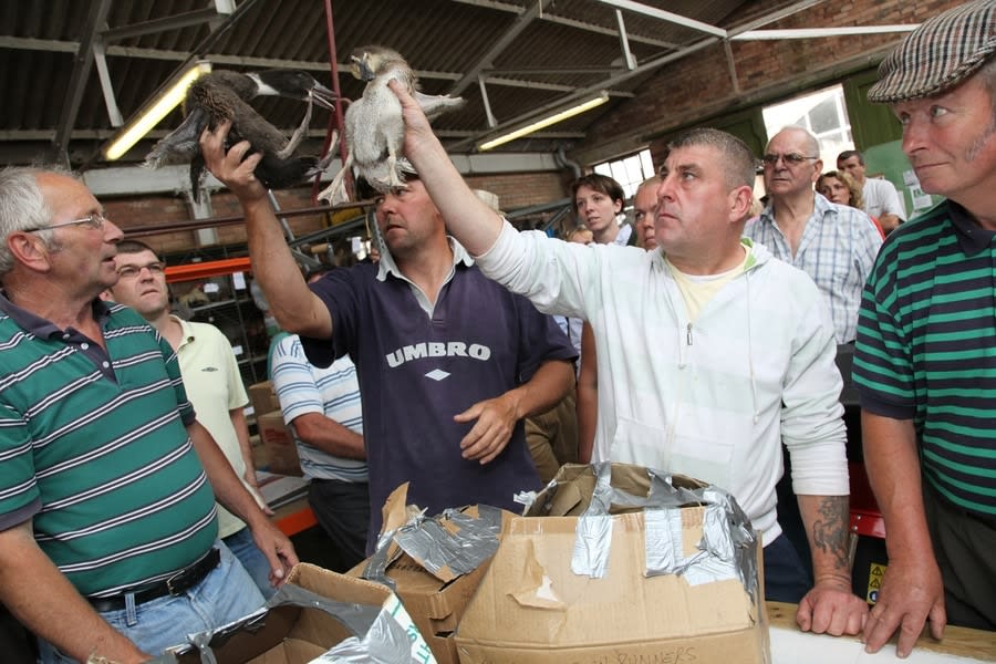 Ken Grant, The Birdhouse, 2012