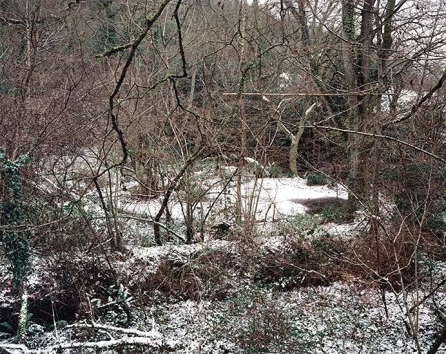 Jem Southam, The Painter's Pool, 09 January 2003, 2003