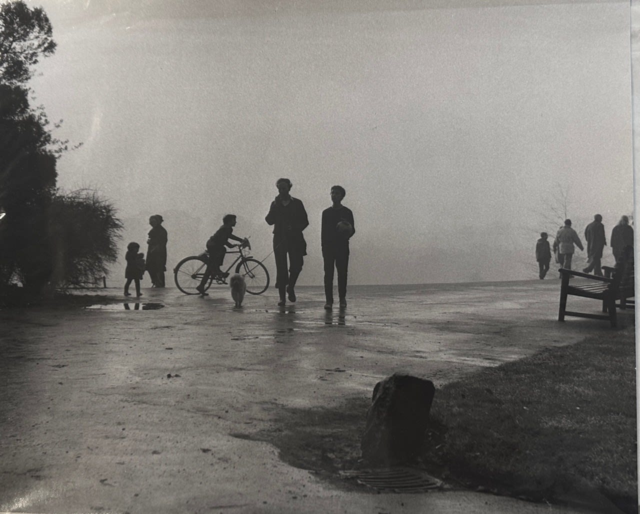 Dorothy Bohm, Winter, Kenwood, Hampstead Heath, 1971