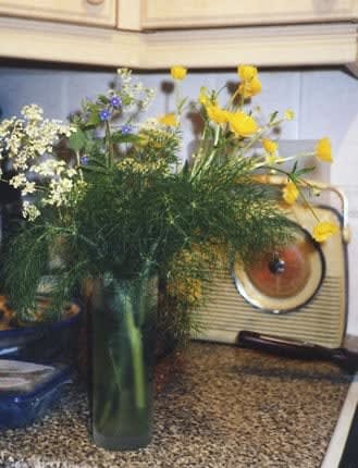 Anna Fox, Notes from Home (Pete's food and flowers), 2000-03