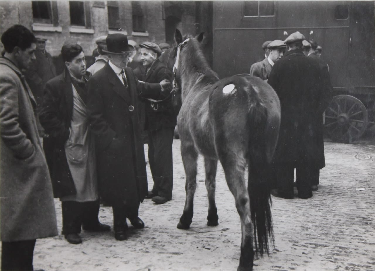 Bert Hardy, Life in the Elephant - The Horse, 1948