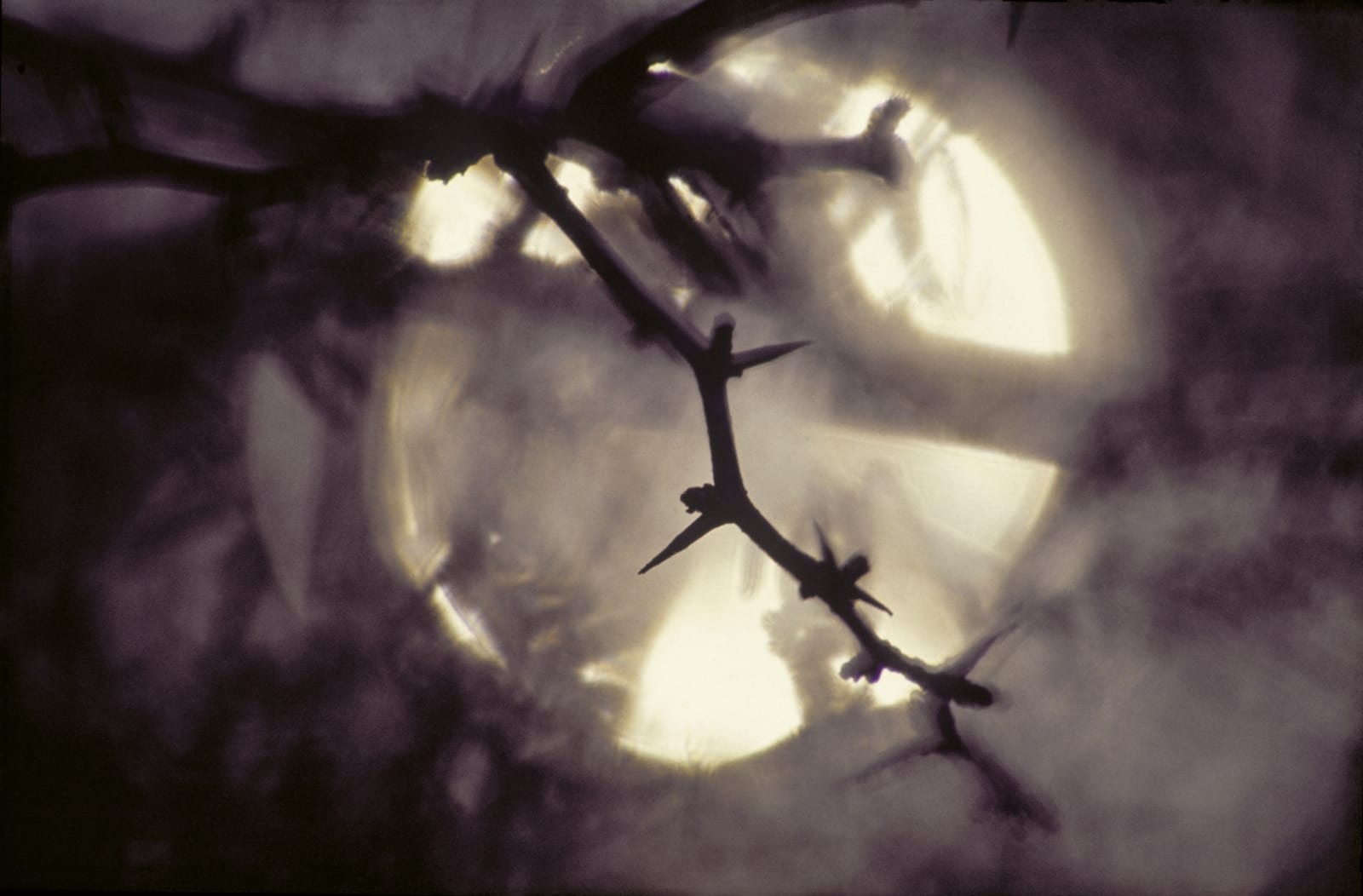 John Blakemore, From "Sun Series", 1965