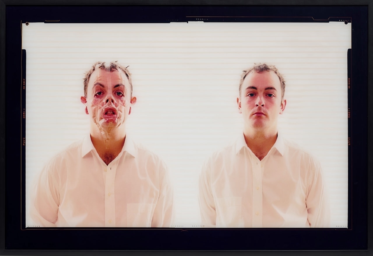 Douglas Gordon, Monster Reborn, 2002