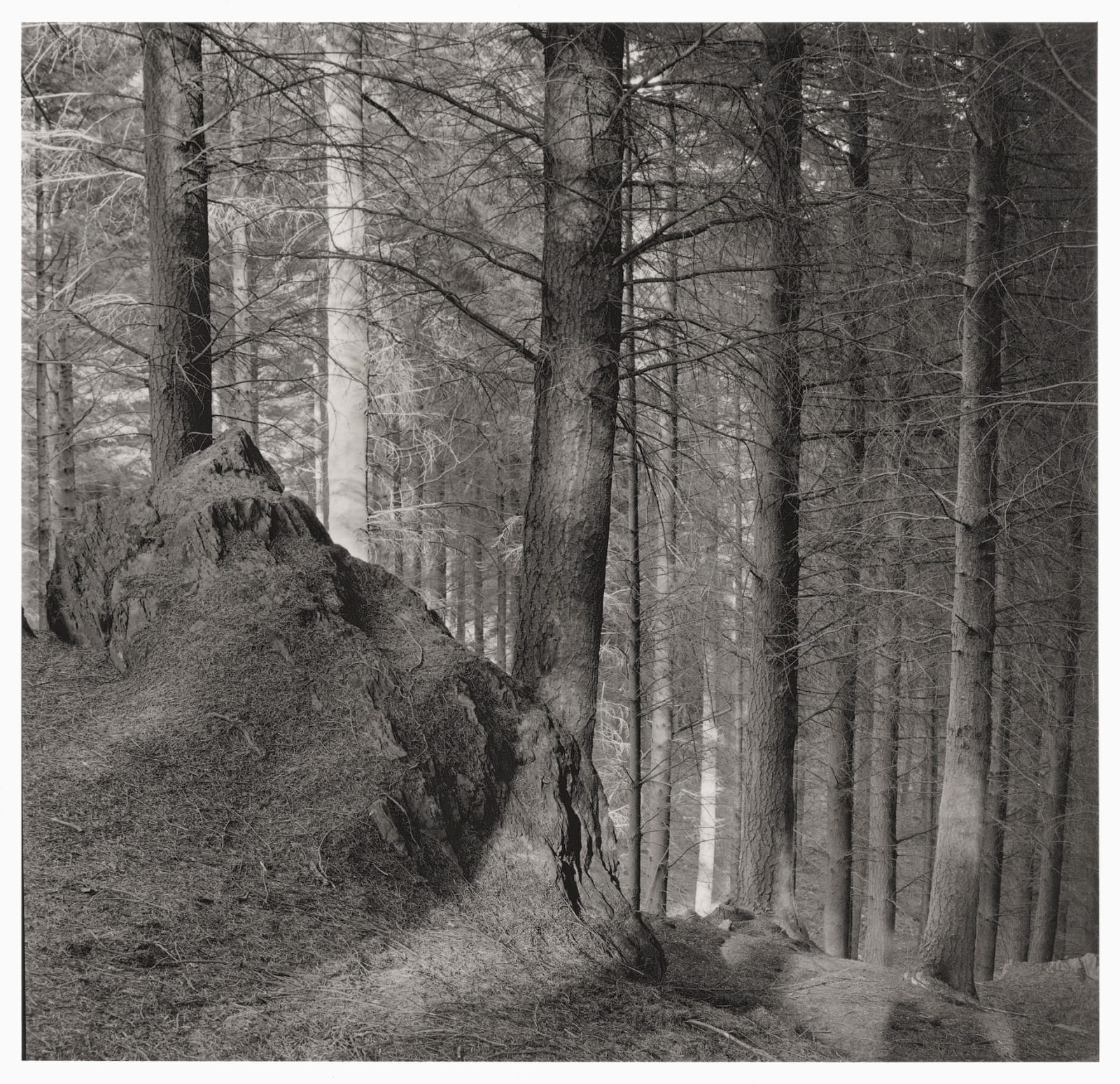 John Blakemore, From "Spirit of Place" (Wales 1970s - from Premonitions) , 1975