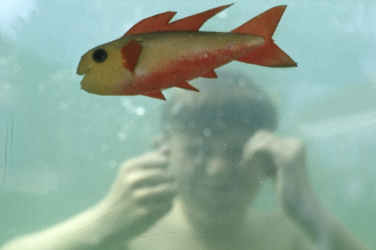 Daniel Meadows, Butlins by the Sea. Butlins Filey, Yorkshire, July/August 1972, 1972