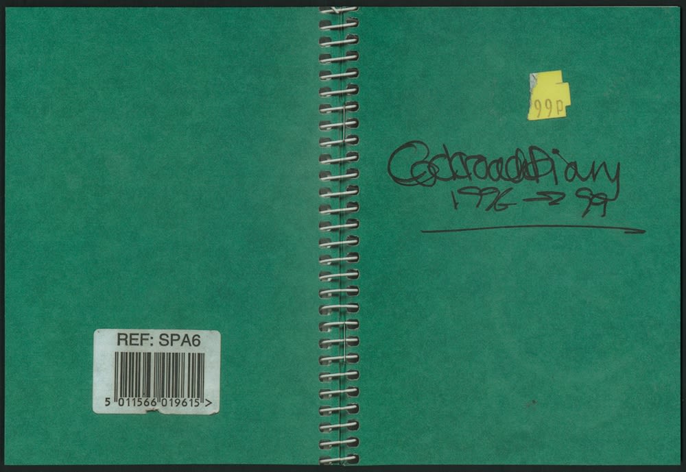 Anna Fox, Cockroach Diary, 1996