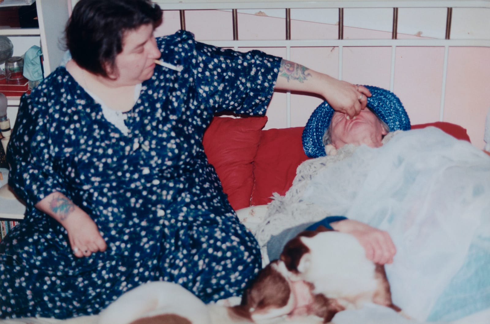 Richard Billingham, Untitled (RAL 17) from the series Rays a Laugh, 1994